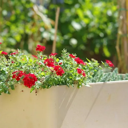 Apartamento L&r Bibinje